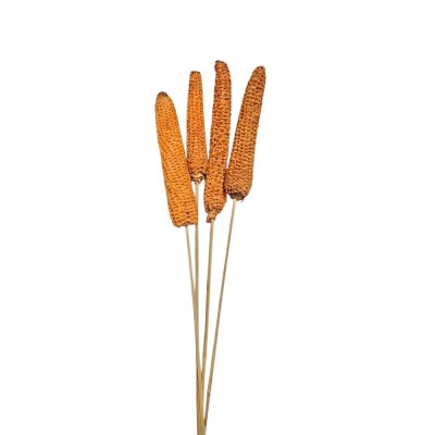 Maíz mazorca 60cm 4pzs naranja