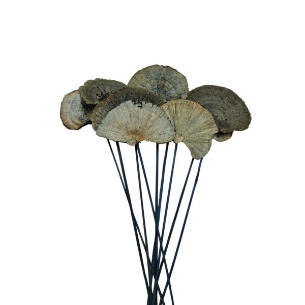 Mush sponge 10 pcs 40cm d.6-8cm azul