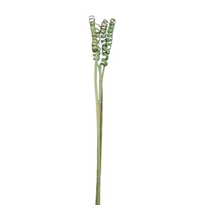 Cane spring 60cm 4pzas verde