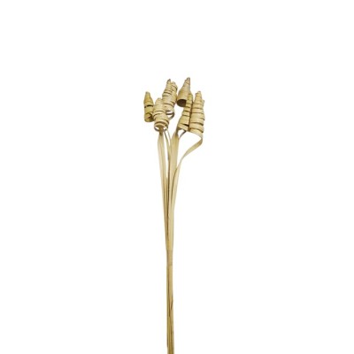Cane cone 50cm 8pzas natural