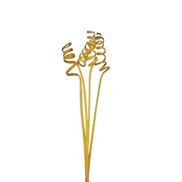 Cane spring 60cm 4pzas amarillo