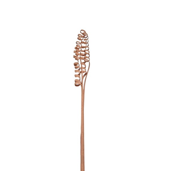 Cane spring 60cm 4pzas marrón