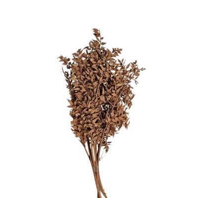 Ruscu 100 grs tierra