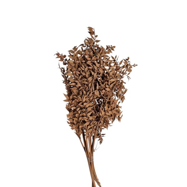 Ruscu 100 grs tierra