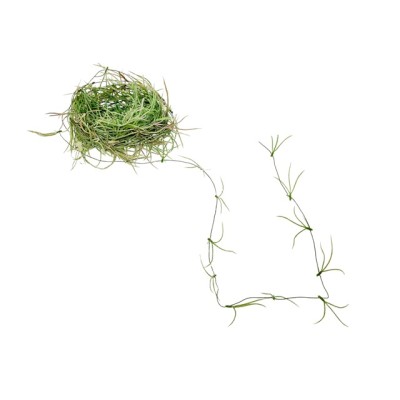 Tillandsia guirnalda alambrada 8 mts 