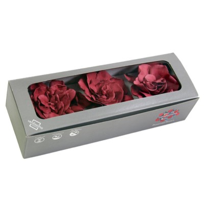 Caja  3 gardenia preservada cabeza d 6-9cm cramberry