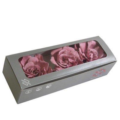 Caja  3 gardenia preservada cabeza d 6-9cm cherry blosson