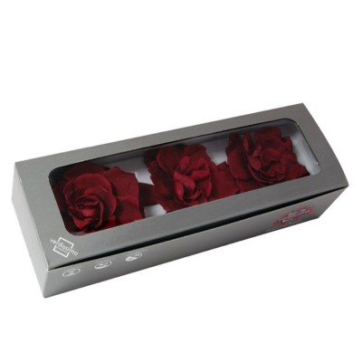 Caja  3 gardenia preservada cabeza d 6- 9cm burdeos