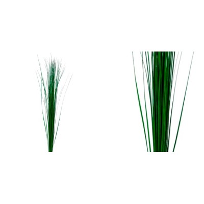 Steel Grass preservado 80/120 verde