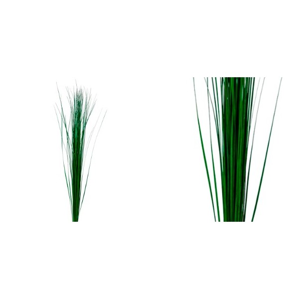 Steel Grass preservado 80/120 verde