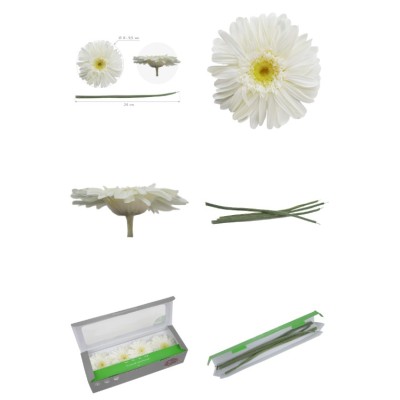 Caja 4 gerbera preservada c/tallo Ø 8-9 5 cm / h23-25 cm aprox 