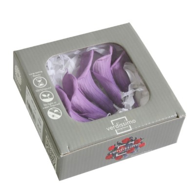 Caja  5 calas preservada cabeza d  3-4cm a 8-10cm lila