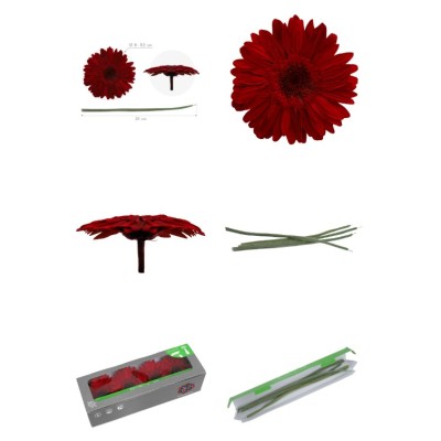 Caja 4 gerbera preservada c/tallo Ø 8-9 5 cm / h23-25 cm aprox  roja