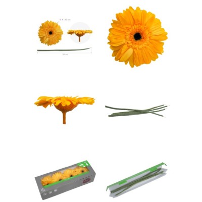 Caja 4 gerbera preservada c/tallo Ø 8-9 5 cm / h23-25 cm aprox  amarilla