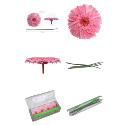 Caja 4 gerbera preservada c/tallo Ø 8-9 5 cm / h23-25 cm aprox  rosa