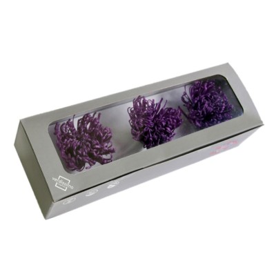 Caja  3 crisantemos anastasia preservados 5-8cm purpura