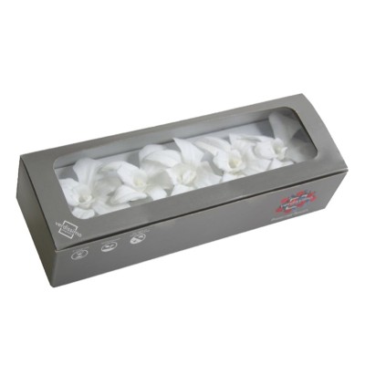Caja  5 dendrobium preservados 5 5-8cm blanco