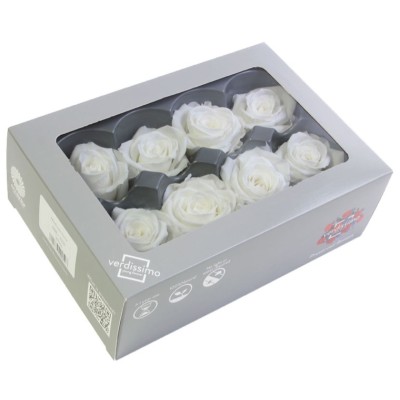 Caja  8 rosas preservada cabeza d  4 5cm blanca