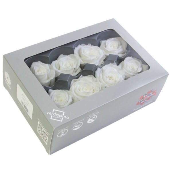 Caja  8 rosas preservada cabeza d. 4,5cm blanca