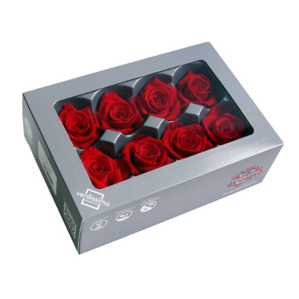 Caja  8 rosas preservada cabeza d. 4,5cm roja