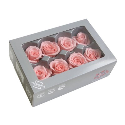 Caja  8 rosas preservada cabeza d  4 5cm rosa pastel