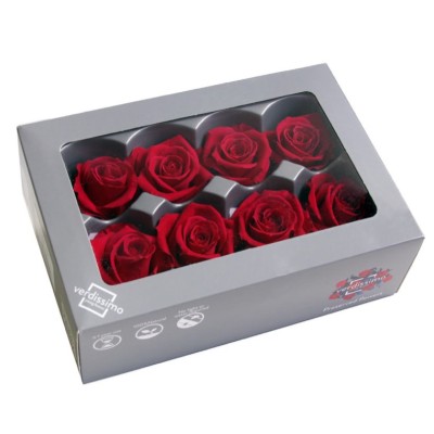 Caja  8 rosas preservada cabeza d  4 5cm burdeos