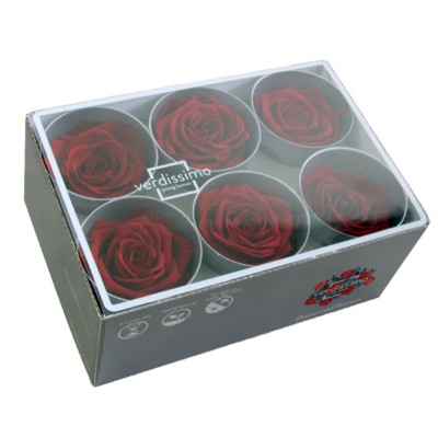 Caja  6 rosas preservadas cabeza d 5cm burdeos