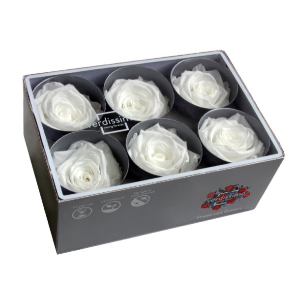 Caja  6 rosas preservadas cabeza d.5cm blanca