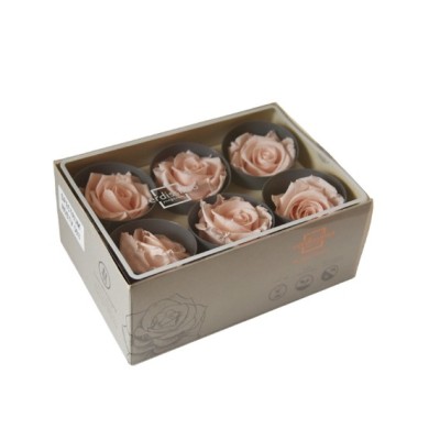Caja  6 rosas preservadas cabeza d 5cm champagne