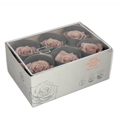 Caja  6 rosas pres cabeza d  5cm avellana