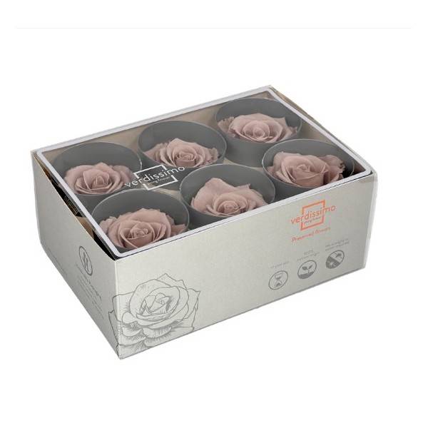 Caja  6 rosas pres cabeza d. 5cm avellana