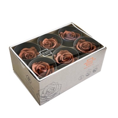 Caja  6 rosas pres cabeza d  5cm cacao moca