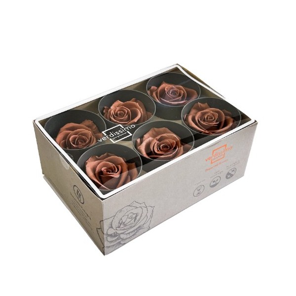 Caja  6 rosas pres cabeza d. 5cm cacao moca