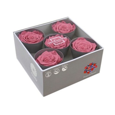 Caja  5 rosa preservada cabeza d  6 3-7 3cm rosa vintage