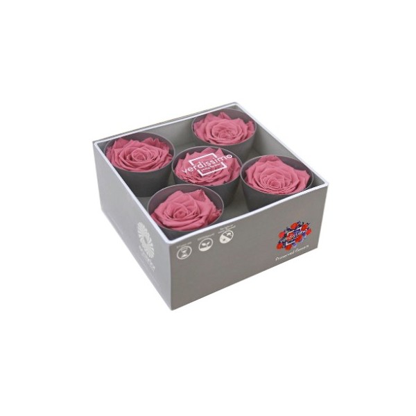 Caja  5 rosa preservada cabeza d. 6,3-7,3cm rosa vintage