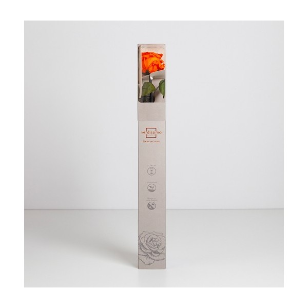 Rosa preservada c/tallo capullo d.4.5-6cm x 55cm envasada naranja