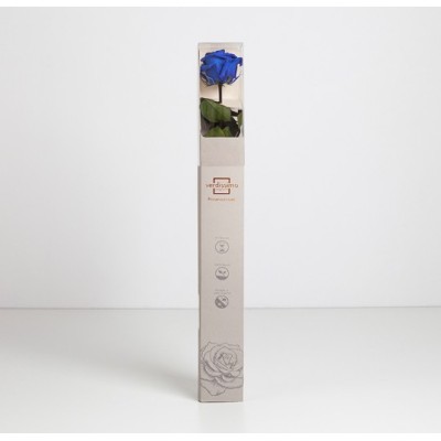 Rosa preservada c/tallo capullo d 4 5-6cm x 55cm envasada azul