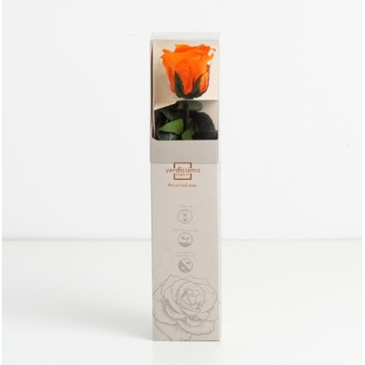 Rosa preservada c/tallo capullo d  3 5-4 5cm x 27cm envasada naranja