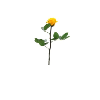 Rosa preservada c/tallo capullo d. 3,5-4,5cm x 27cm envasada amarilla