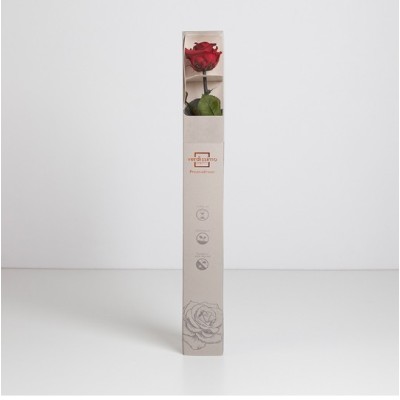 Rosa preservada c/tallo capullo d 4 5-6cm x 55cm envasada burdeos