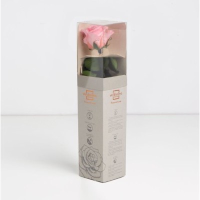 Rosa preservada c/tallo capullo d  3 5-4 5cm x 27cm envasada rosa