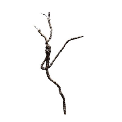 Raiz colgante 80cm marrón