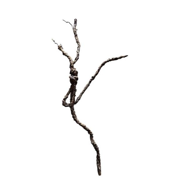Raiz colgante 80cm marrón