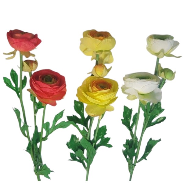 Ranúnculos ri x 3 933 amarillo