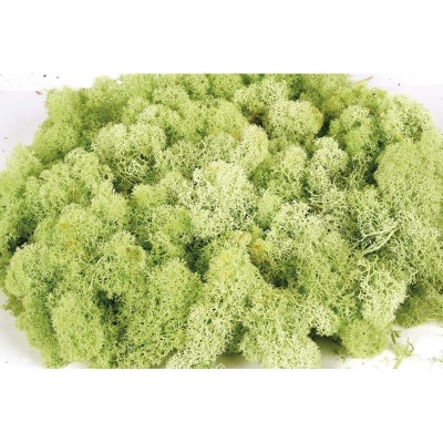 Musgo finlandés preservado bolsa   50gr verde pistacho