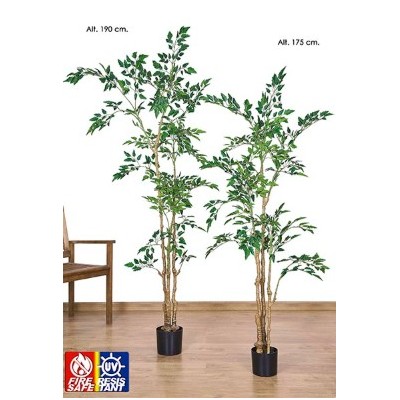 Planta exterior nandina con tronco natural 175 cm verde 