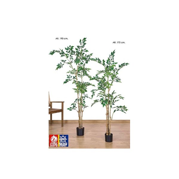 Planta exterior nandina con tronco natural 175 cm verde 