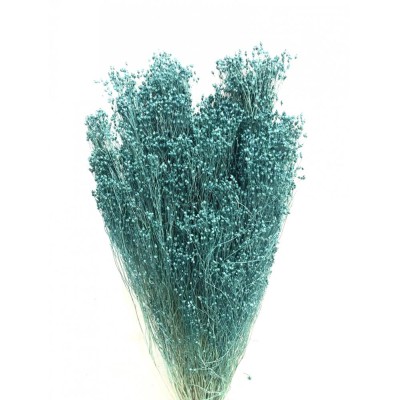 Brooms seco 100gr 50cm verde turquesa