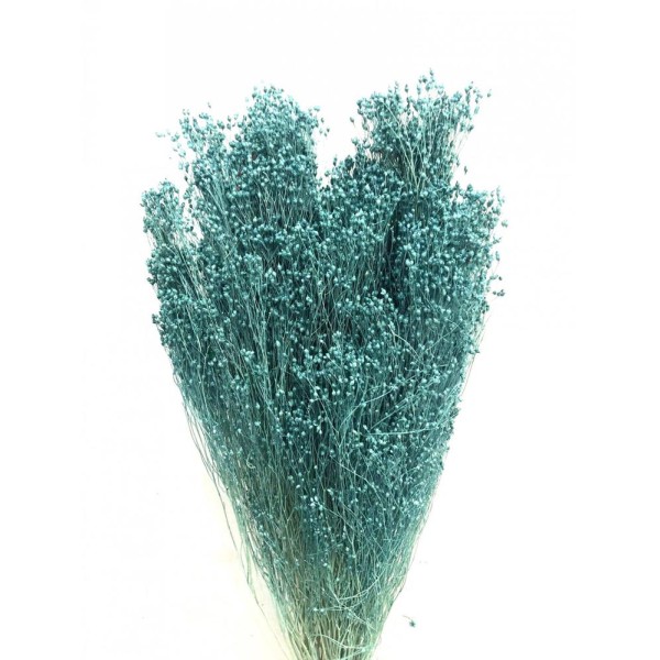 Brooms seco 100gr 50cm celeste