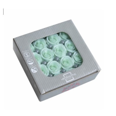 Caja 16 rosas preservadas cabeza d  2 5cm princesa verde menta